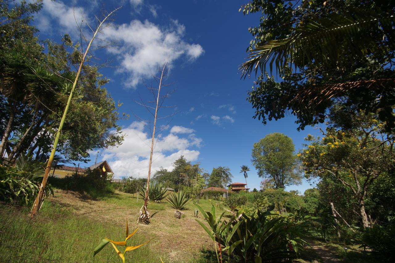 The Plantation House Travellers Hostel Salento Exterior photo